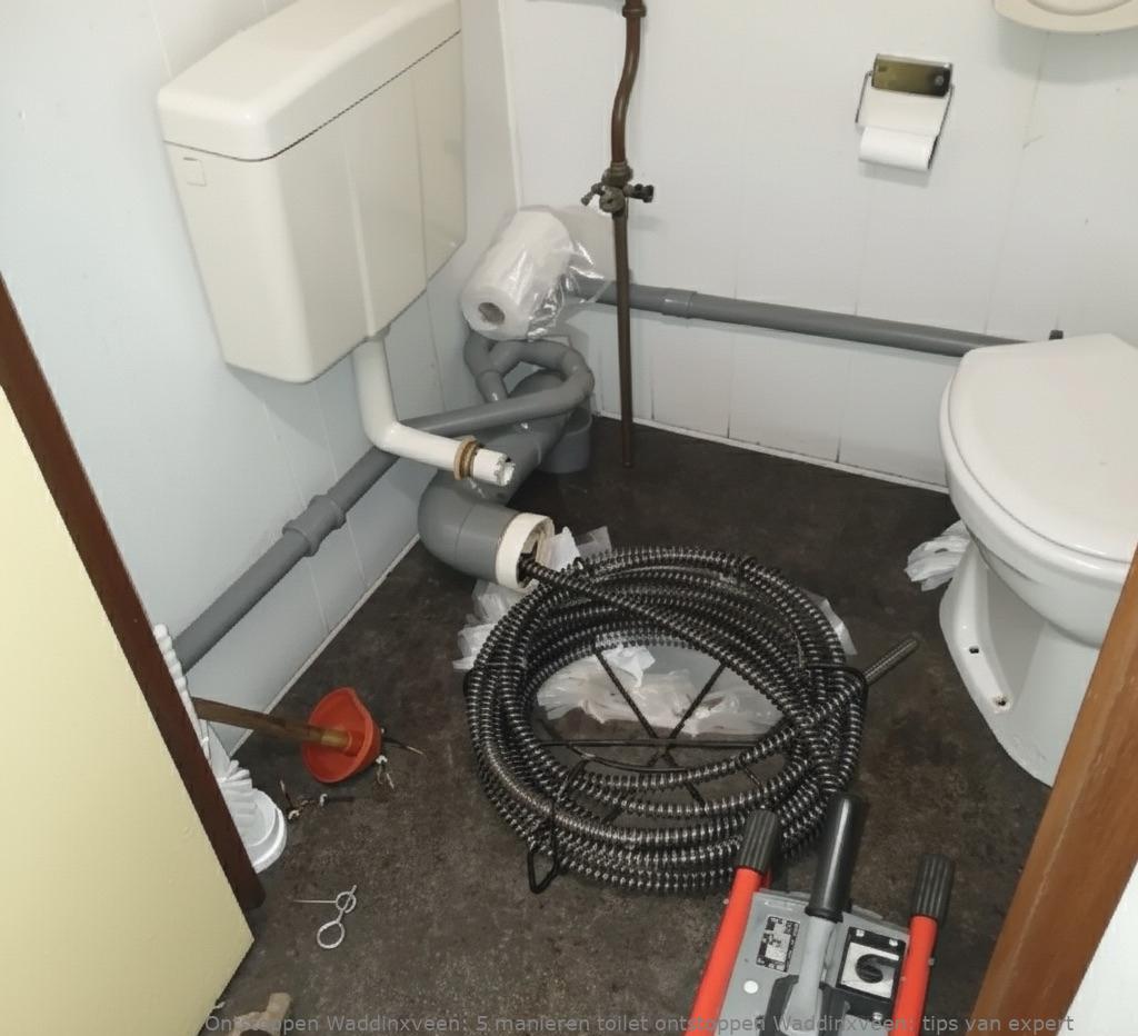 5 manieren toilet ontstoppen Waddinxveen: tips van expert