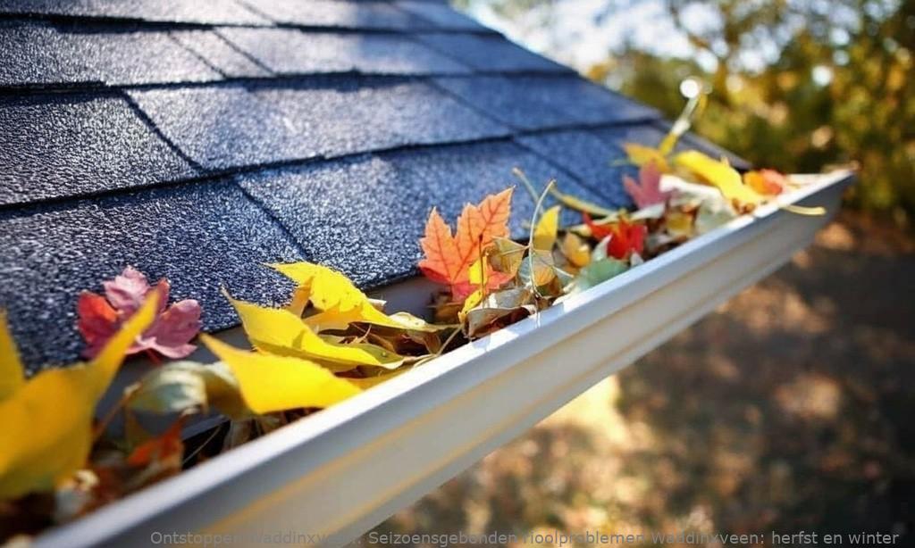 Seizoensgebonden rioolproblemen Waddinxveen: herfst en winter